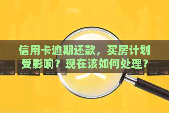 信用卡逾期还款，买房计划受影响？现在该如何处理？