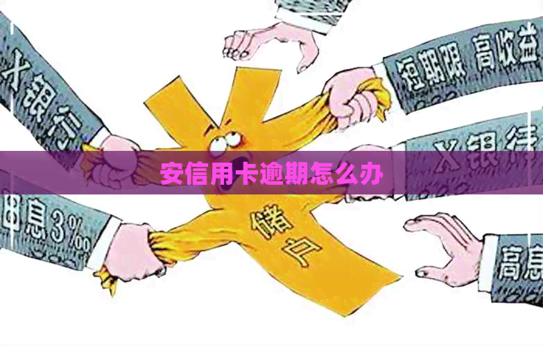 安信用卡逾期怎么办