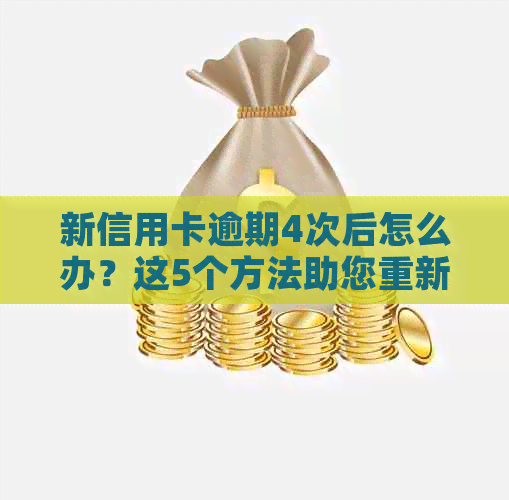 新信用卡逾期4次后怎么办？这5个方法助您重新建立信用！