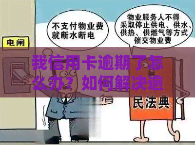 我信用卡逾期了怎么办？如何解决逾期问题并避免信用损失？