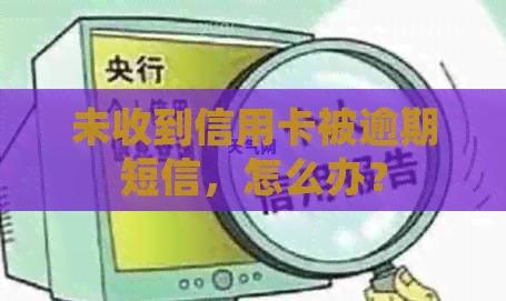 未收到信用卡被逾期短信，怎么办？