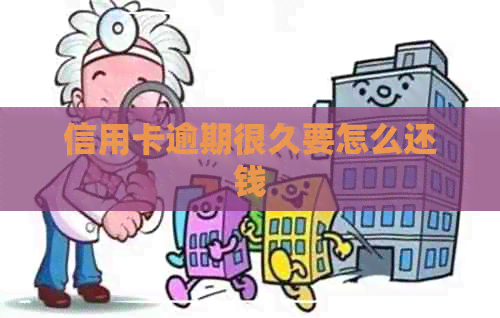 信用卡逾期很久要怎么还钱