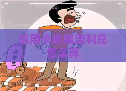 信用卡逾期滞利息怎么算