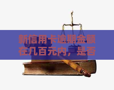 新信用卡逾期金额在几百元内，是否可以申请贷款？请专家解答。