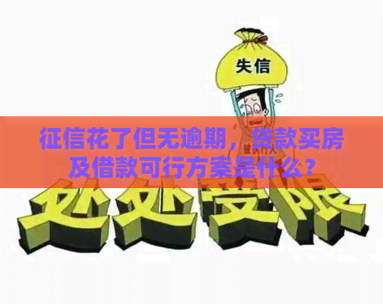 花了但无逾期，贷款买房及借款可行方案是什么？