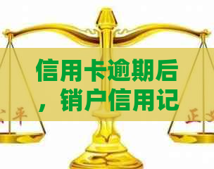 信用卡逾期后，销户信用记录的可能性与关键步骤分析