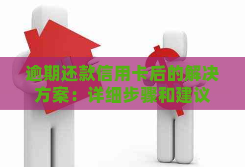 逾期还款信用卡后的解决方案：详细步骤和建议