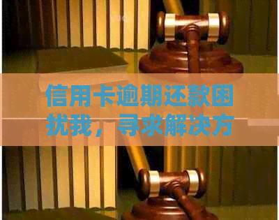 信用卡逾期还款困扰我，寻求解决方案