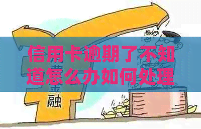 信用卡逾期了不知道怎么办如何处理信用卡逾期问题？