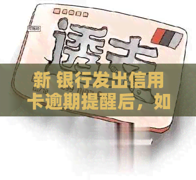 新 银行发出信用卡逾期提醒后，如何及时还款以避免影响信用？