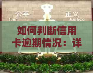 如何判断信用卡逾期情况：详细步骤与常见误区解析