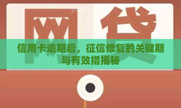 信用卡逾期后，修复的关键期与有效措揭秘