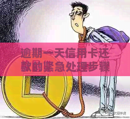 逾期一天信用卡还款的紧急处理步骤：防止罚款与信用损害