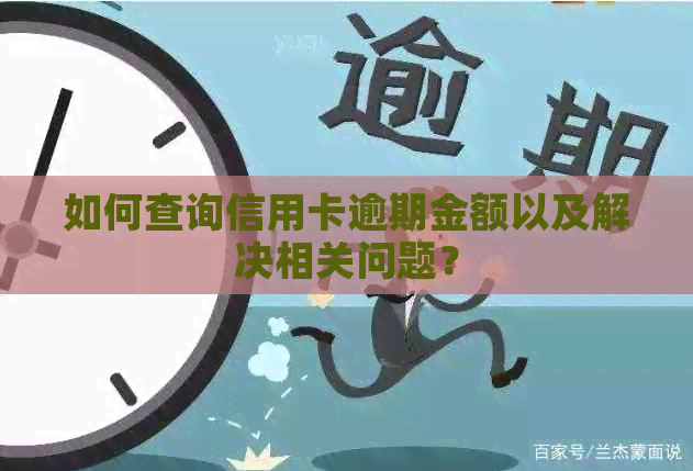 如何查询信用卡逾期金额以及解决相关问题？