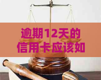 逾期12天的信用卡应该如何解决？忘记还款的处理策略和建议