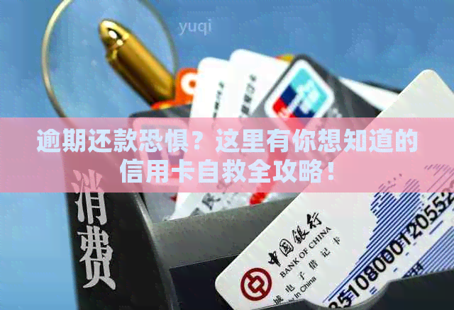 逾期还款恐惧？这里有你想知道的信用卡自救全攻略！