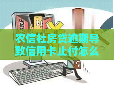 农信社房贷逾期导致信用卡止付怎么办？解决方法一网打尽！