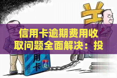 信用卡逾期费用收取问题全面解决：投诉渠道一览及实用建议