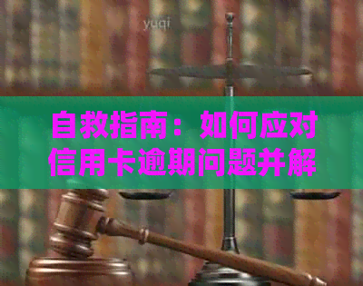 自救指南：如何应对信用卡逾期问题并解决潜在后果