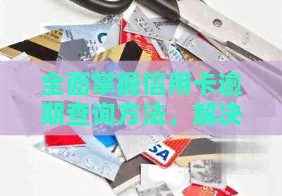 全面掌握信用卡逾期查询方法，解决用户搜索的各类疑问