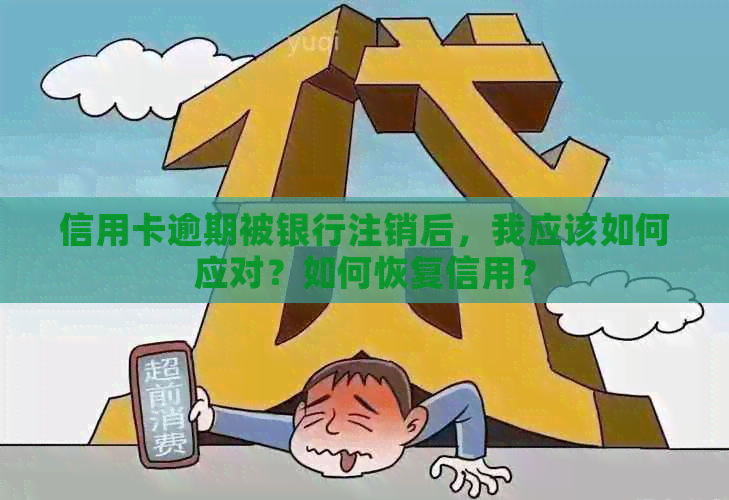 信用卡逾期被银行注销后，我应该如何应对？如何恢复信用？