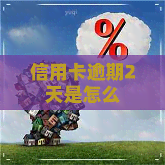 信用卡逾期2天是怎么