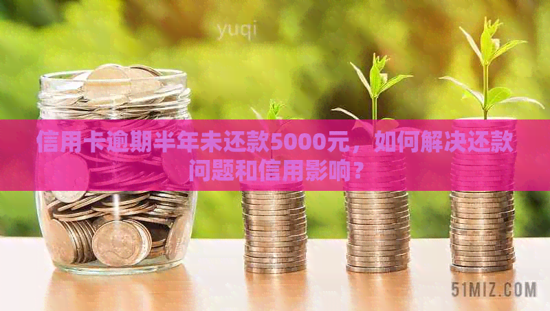 信用卡逾期半年未还款5000元，如何解决还款问题和信用影响？