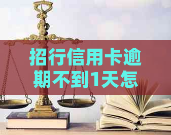 招行信用卡逾期不到1天怎么办-招行信用卡逾期不到1天怎么办呢