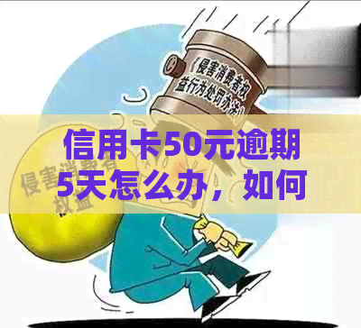 信用卡50元逾期5天怎么办，如何处理？