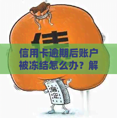 信用卡逾期后账户被冻结怎么办？解冻详细步骤与注意事项一文解析