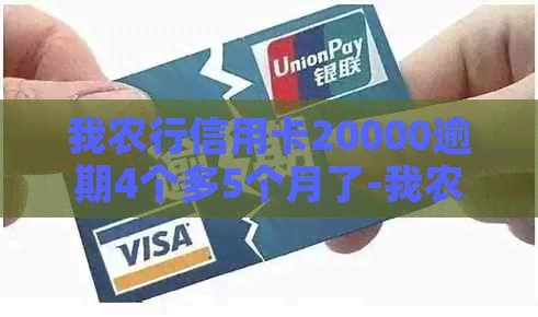 我农行信用卡20000逾期4个多5个月了-我农行信用卡20000逾期4个多5个月了怎么办