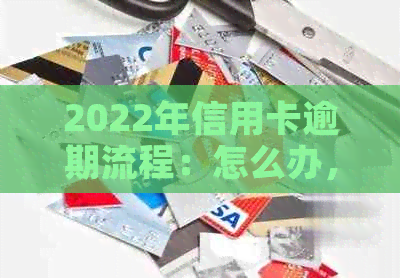 2022年信用卡逾期流程：怎么办，最新标准与政策