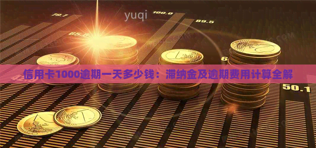 信用卡1000逾期一天多少钱：滞纳金及逾期费用计算全解