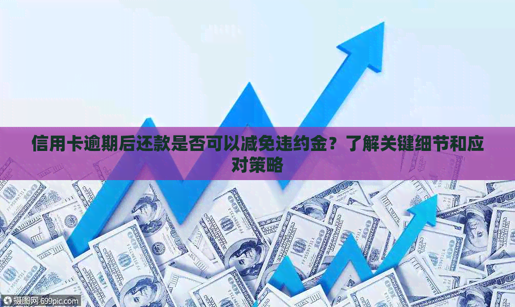 信用卡逾期后还款是否可以减免违约金？了解关键细节和应对策略