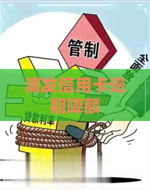 浦发信用卡逾期降额