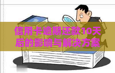 信用卡逾期还款10天后的影响与解决方案：如何补救信用损失？