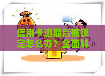 信用卡逾期后被锁定怎么办？全面解锁指南及应对策略