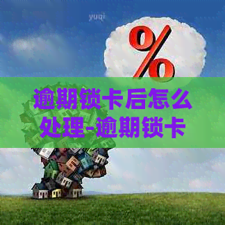 逾期锁卡后怎么处理-逾期锁卡后怎么处理掉