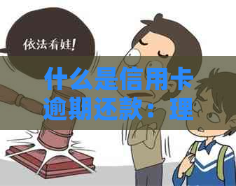 什么是信用卡逾期还款：理解信用卡逾期记录，行为及后果