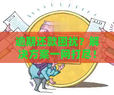 逾期还款困扰？解决方案一网打尽！半年内信用卡与花呗逾期处理全攻略