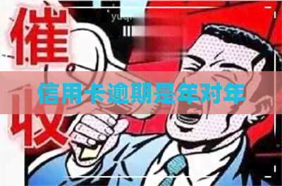 信用卡逾期是年对年