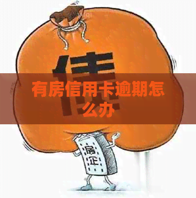 有房信用卡逾期怎么办