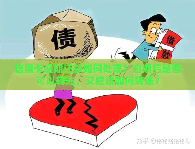 信用卡逾期还款如何处理？逾期后是否可以转账，又应该如何转账？