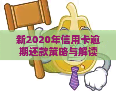 新2020年信用卡逾期还款策略与解读，不良信用记录的影响与改善方法