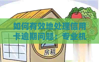 如何有效地处理信用卡逾期问题：专业机构助力解决逾期困扰