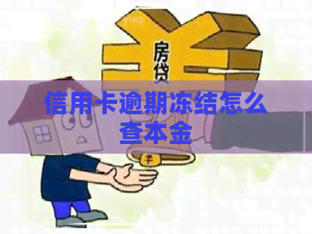 信用卡逾期冻结怎么查本金