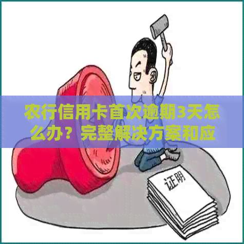 农行信用卡首次逾期3天怎么办？完整解决方案和应对策略