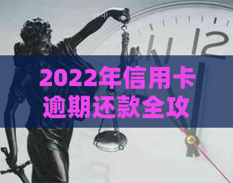 2022年信用卡逾期还款全攻略：流程、影响及解决方案一文解析