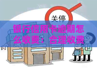 银行信用卡逾期怎么收费：合理收费标准与投诉途径