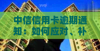 中信信用卡逾期通知：如何应对、补救措及影响分析，微信实时提醒功能详解